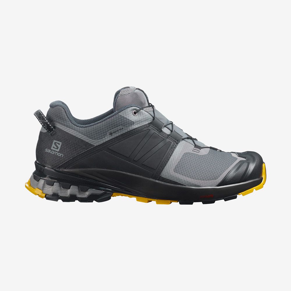 Chaussures De Trail Running Salomon Homme Grise - Salomon XA WILD GORE-TEX - France (3861-KDYOJ)